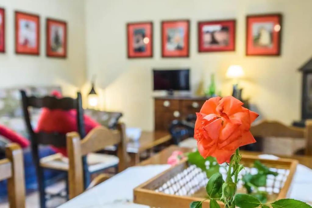 Casa Cortijo En Dehesa Sierra Leon Hébergement de vacances La Puebla de los Infantes